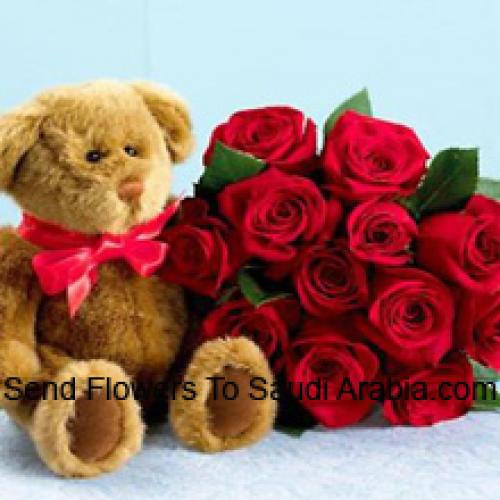 Urso Marrom com Lindas 12 Rosas