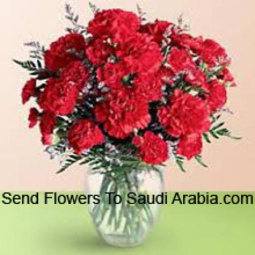 36 Red Cute Carnations